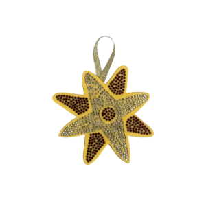 STAR Ornament