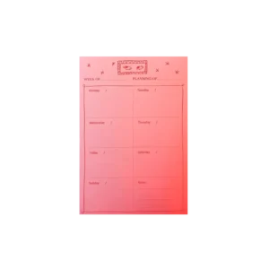 PINK Mini Perpetual Weekly Planner