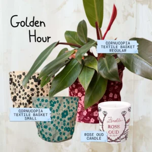 Golden Hour Bundle